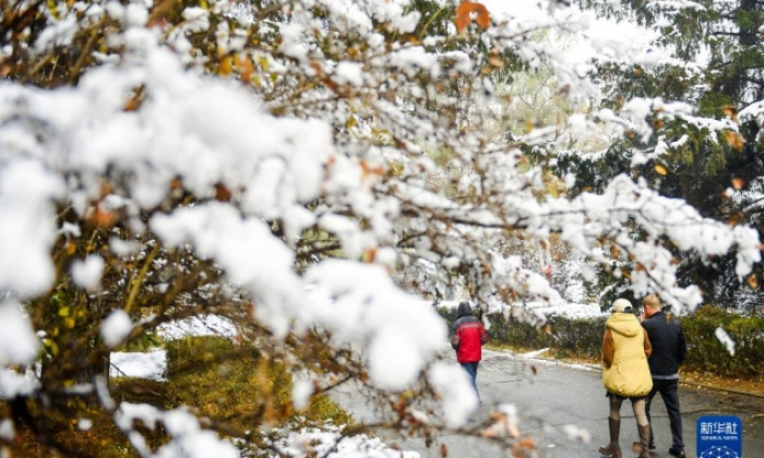 吉林长春迎初雪